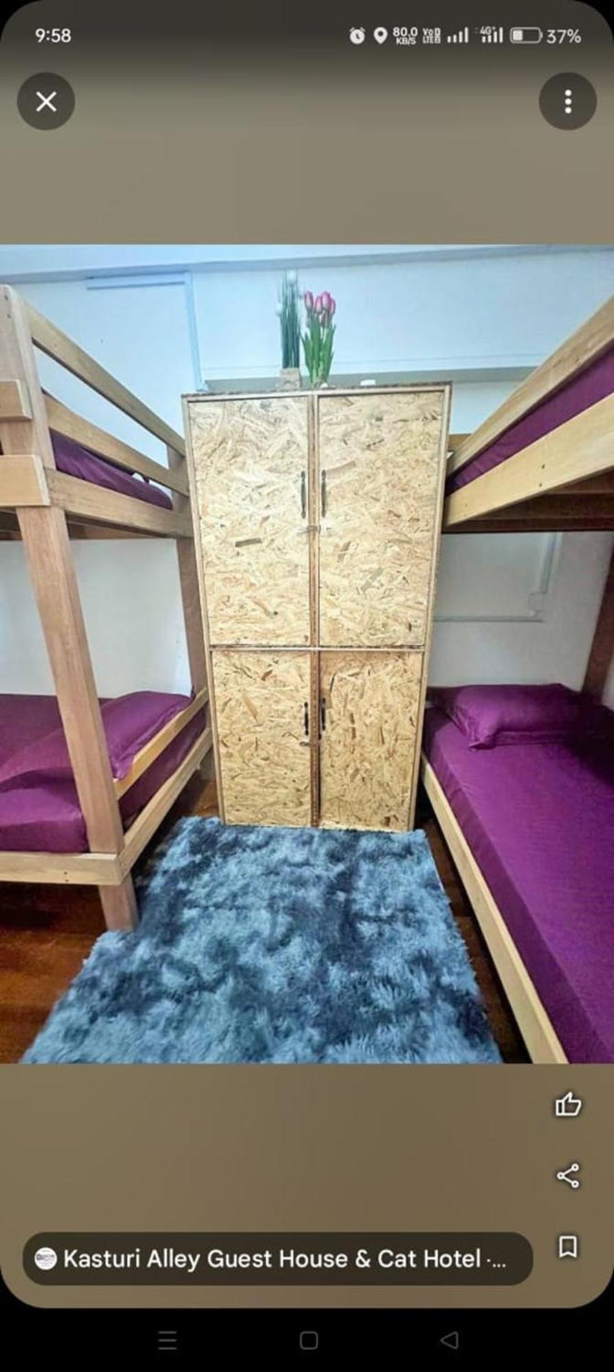 Spot On 90898 Kasturi Alley Guest House & Cat Hotel Malacca Exterior foto
